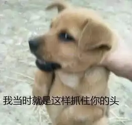 撩妹子表情包一套谁知道