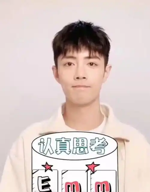 疑惑可爱表情包肖战