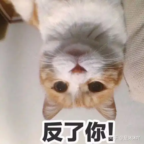  凤兮凤兮拾