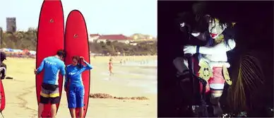  你敢买一个白日梦吗what给你一打傅园慧表情包.gif