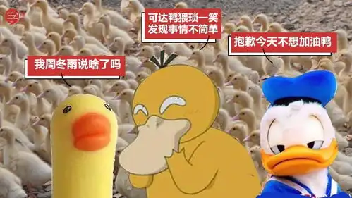 奋斗的表情包图片红鸭