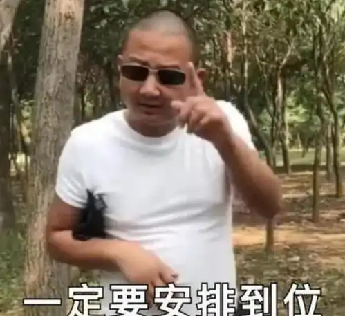  一场演出35万,要求五星级酒店和飞机接送,网友谁给的勇气