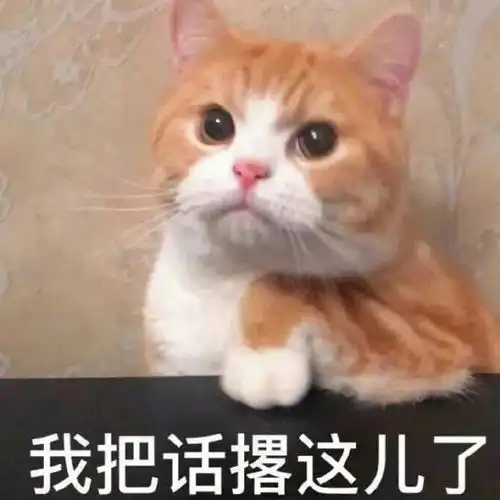 说了多少次我喜欢你今日头条