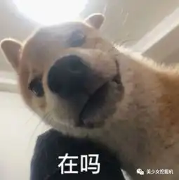  自称英韩德中四国混血的网红,鼻子假到都能滑滑梯了