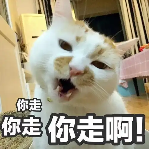  秋台风爆发卡努刚走,21号台风兰恩凌晨生成,或成为超强台风