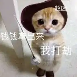  我中国猫可不是好欺负的第289期喵表情
