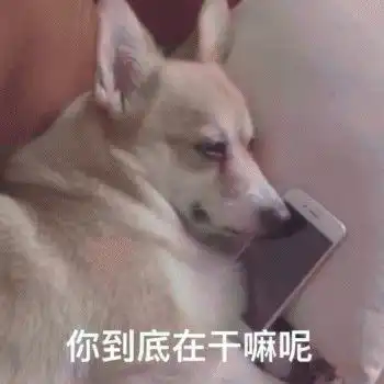  舔狗的最高境界是什么,这套表情包完全表达了我的心情,值得吗
