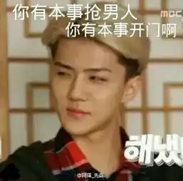  我想要这种exo的带字图片