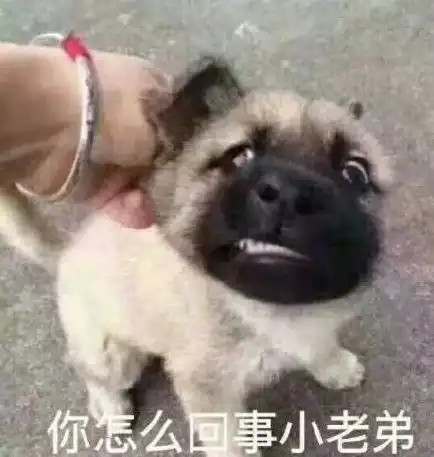  你最常用哪些有意思的表情包