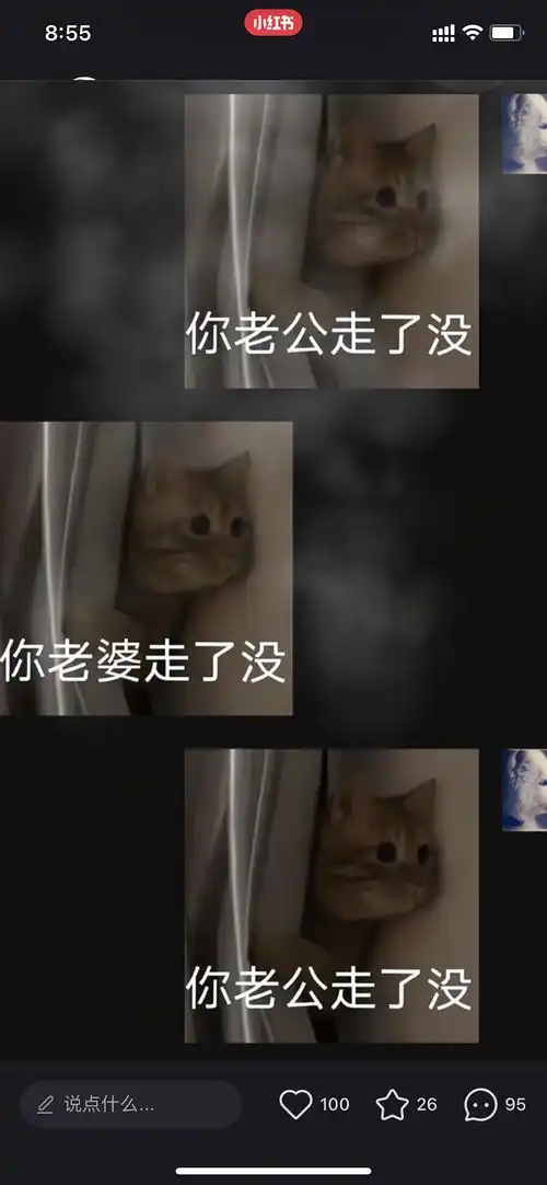  我的收藏