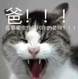  前方高能你已进入茶界表情包时代