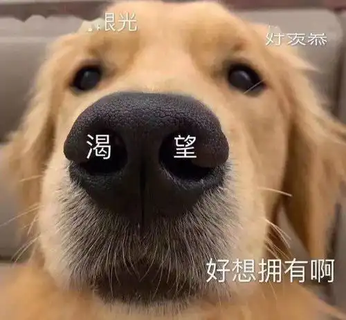  我把你当兄弟,你竟然想吃我哈哈哈画面过于刺激