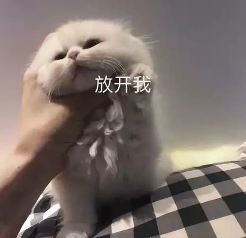  一波很实用的表情包