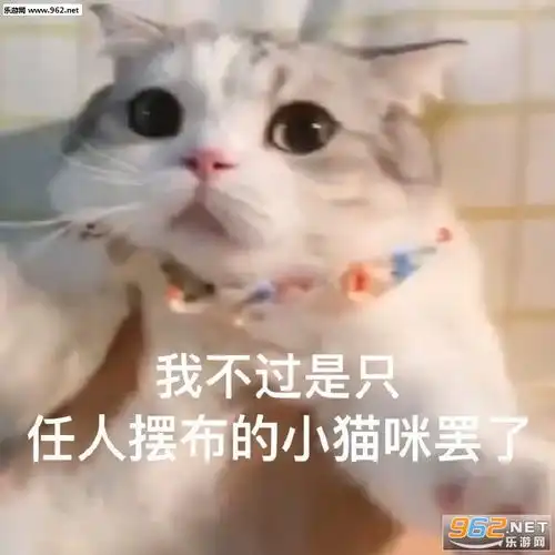  你为什么不戴口罩图片生胖气表情包下载乐游网游戏下载