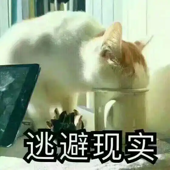 准高一可以学习哪些特长