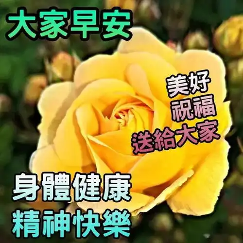  别人毁谤你,是因为你优秀别人利用你,是说明你有价值,早安