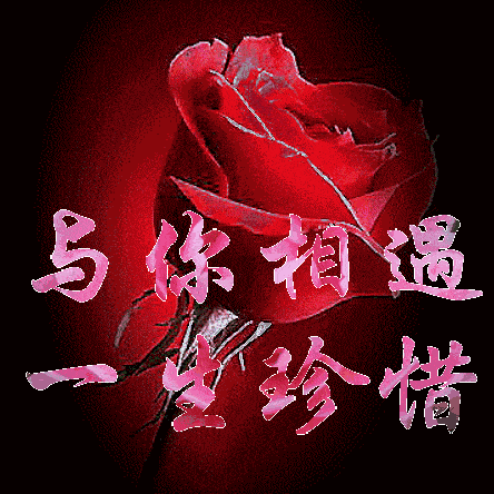 12张唯美经典早安漂亮动图,早上好表情祝福带字带祝福语