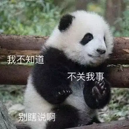  热门表情包图片经典我不知道,不关我事,别瞎说啊
