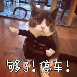  闽d车主注意,这里严查交通违法
