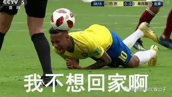  2018年世界杯真是表情包的天堂