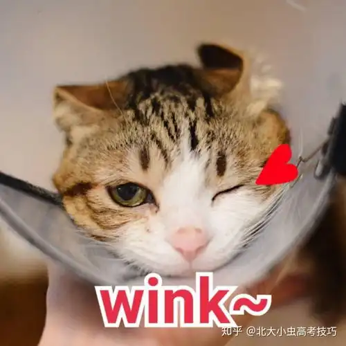  高一新生开学要准备什么物品