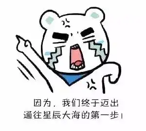  回首看看我们这一年来所走过的路