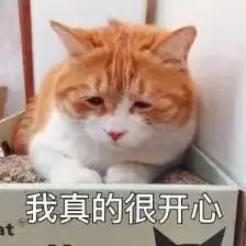  这些表情包,你使用过吗聊天万能回复