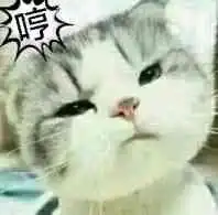  谁还有这个小猫的系列表情包,好想要啊啊啊啊啊啊啊啊