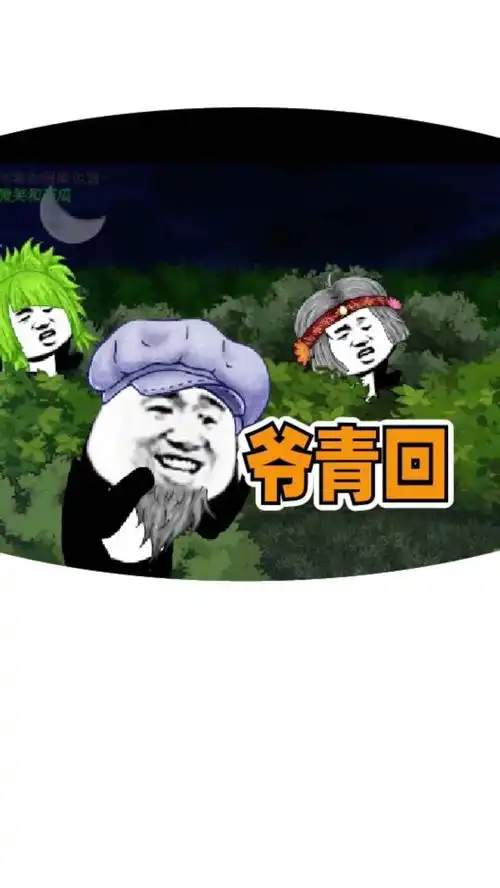  那一年,看了综艺爷青回