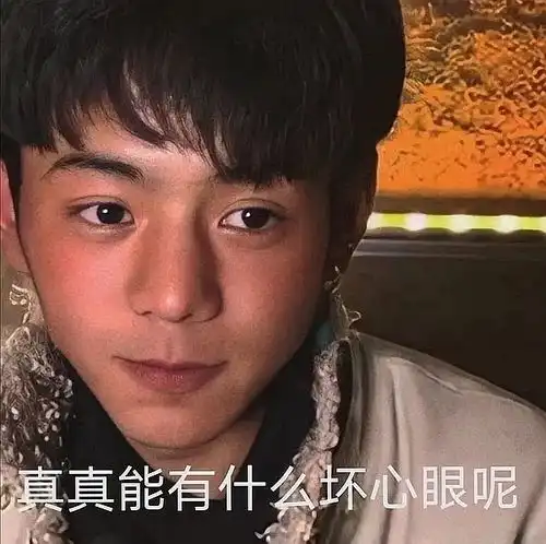 丁真阴间表情包