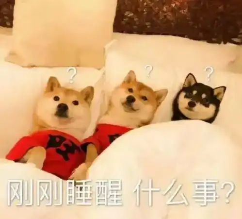  玩家为了团队通宵爆肝,结果太累睡着,队友为其守护6小时