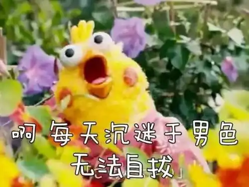  穿不正经的衣服,做正经的事,嘿嘿嘿